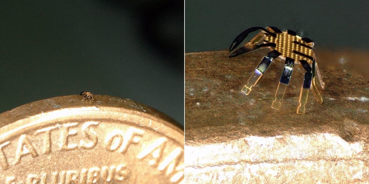 コインに乗る史上最小のカニ型ロボット