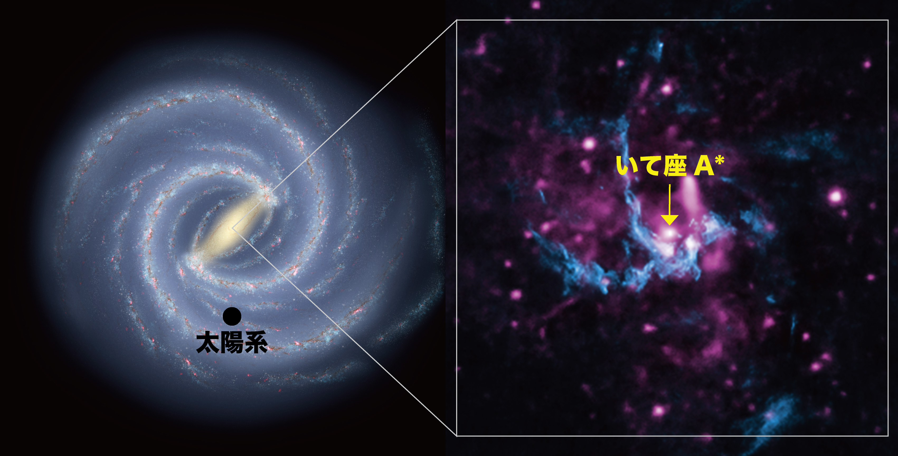 天の川銀河の想像図 （左） と天の川銀河中心領域のX線（青）と電波（ピンク）の合成画像（右）