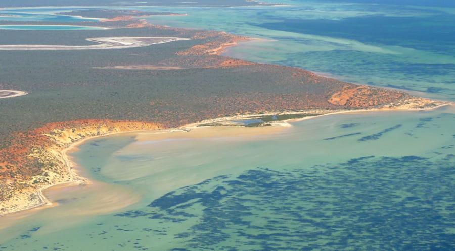 西オーストラリアのシャーク湾