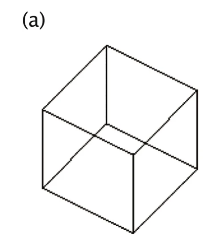 （a）の立方体を見たとき、見下ろした姿勢のときは、（b）左に見える人が多く、見上げた姿勢のときには（b）右に見える人が多かった。
