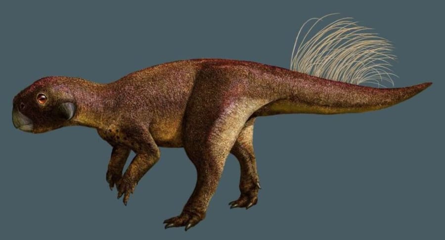 プシッタコサウルスの復元イメージ