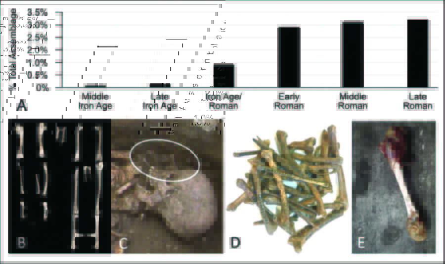 （A）ニワトリの骨の量は年代ごとに増加、（B〜E）実際に見つかった骨