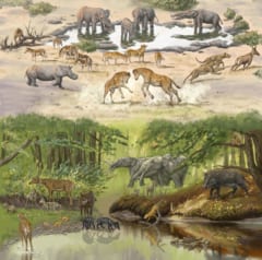 D. シエジーが生きていた頃の「ジュンガル盆地」の生態系のイメージ