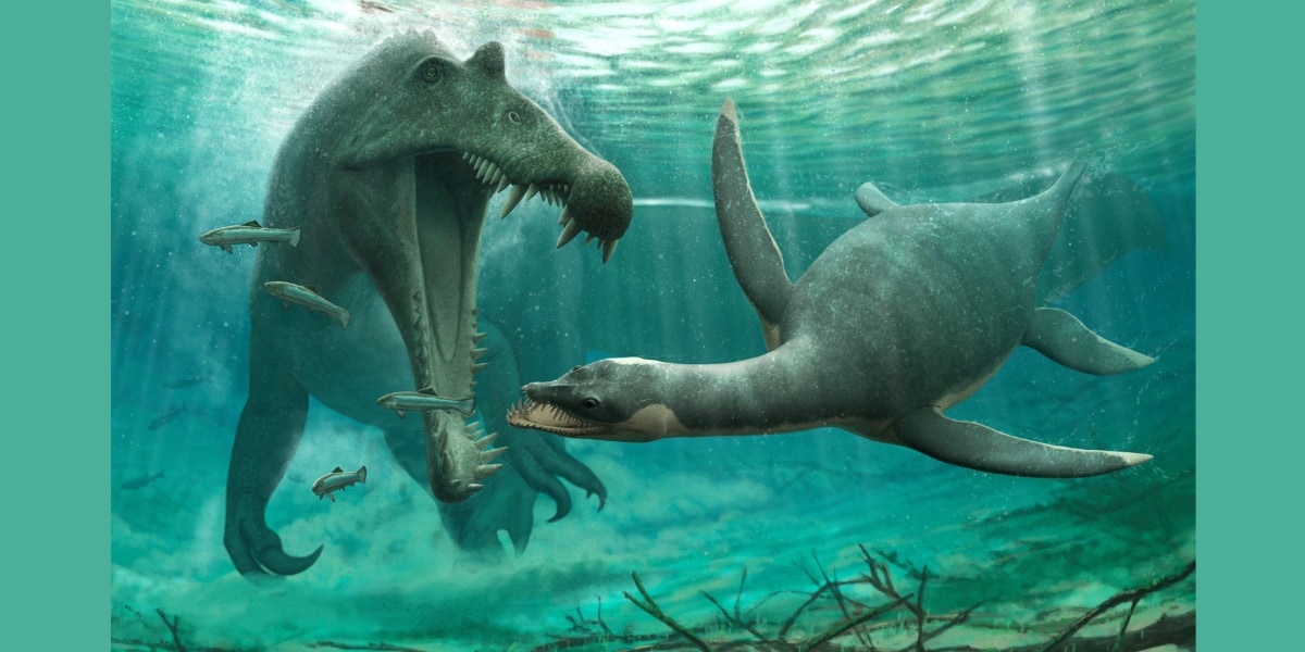 淡水に完全適応したプレシオサウルスを発見！
