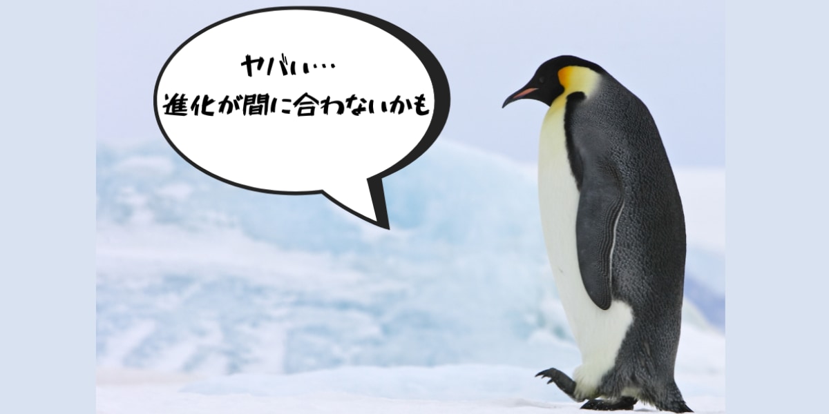 ペンギンの進化速度が落ちていると判明！