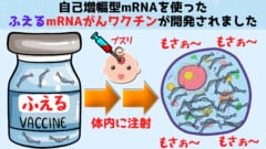自己増幅型mRNAを使った増える「がんワクチン」の臨床試験が開始