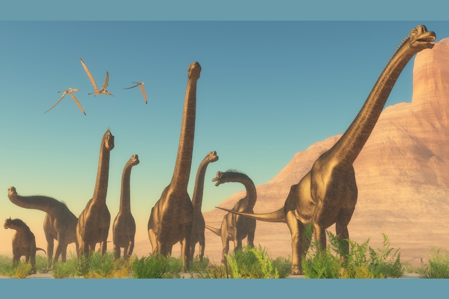 地上に存在した史上最大級の生物・ブラキオサウルス