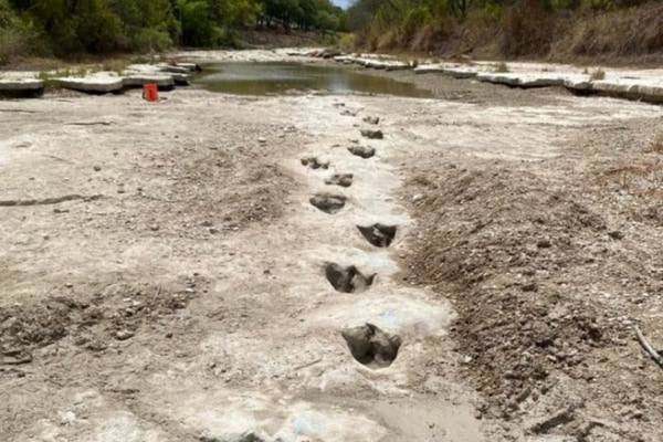 干ばつで「世界最長クラスの恐竜足跡」が川底から出現する！