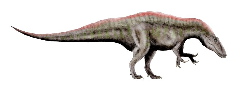 「アクロカントサウルス」の復元イメージ