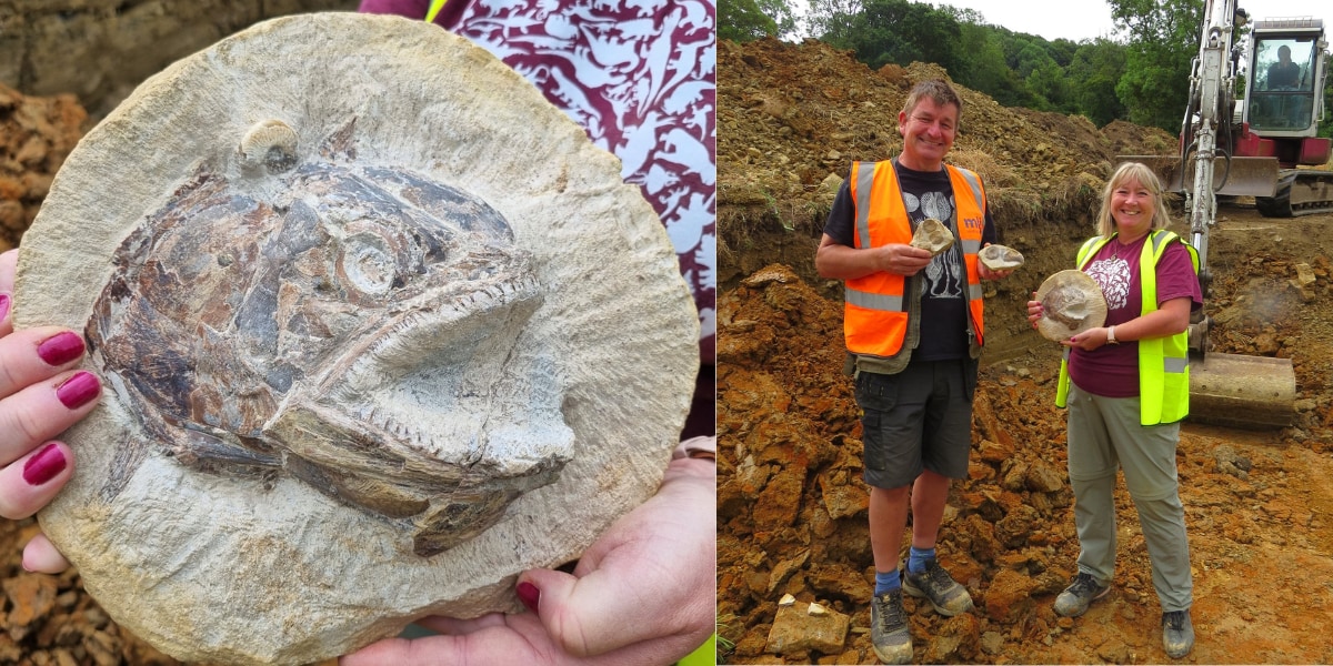 英の農場から「ジュラ紀の化石」が大量出土！今にも飛び出しそうな魚の3D化石も