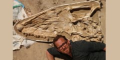 驚きの保存状態！モロッコで新種のモササウルスの化石を発見