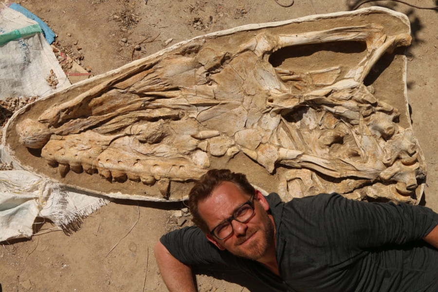 ほぼ完全！　驚くほど保存状態の良い「新種のモササウルス」の頭蓋骨化石を発見！