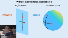 平坦な空間に設置された物体は変形や回転をしても並進することは「不可能（impossible）」ですが、歪んだ空間では「可能（possible）」になり,徐々に球面に沿って十字部分が移動していきます