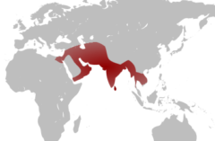 ゾウによる処刑が行われていた地域（赤色）
