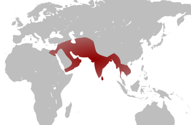 ゾウによる処刑が行われていた地域（赤色）