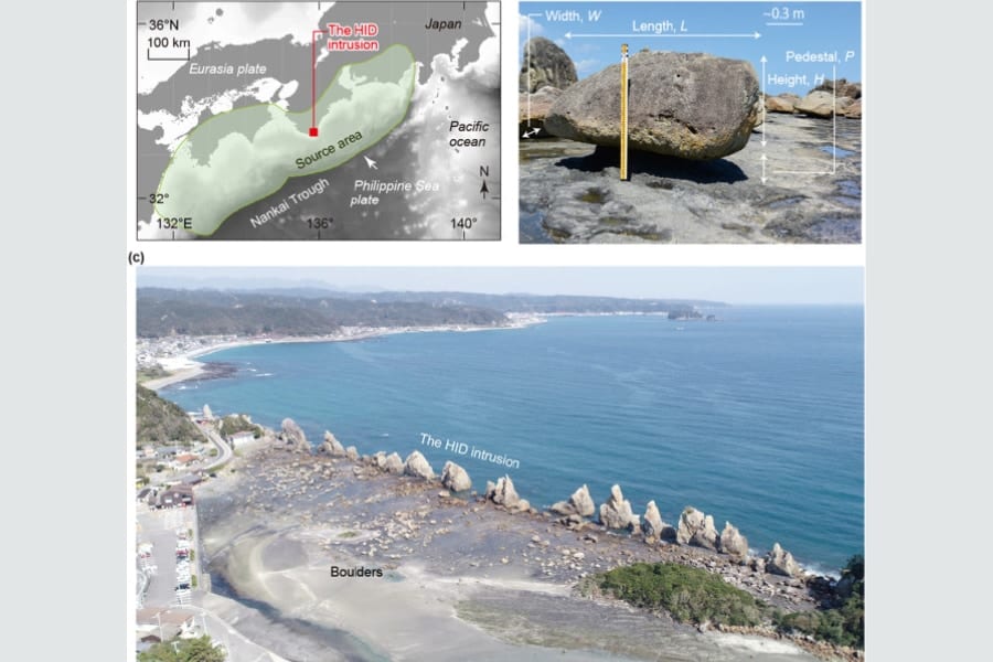 かつて和歌山県を襲った「南海トラフ地震」の巨大津波の証拠を発見！