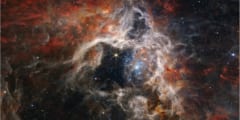ジェイムズ・ウェッブ宇宙望遠鏡が「タランチュラ星雲」を撮影