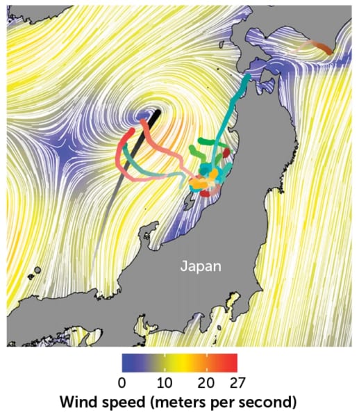 台風の目（黒）と飛行コース（赤や緑）の変化