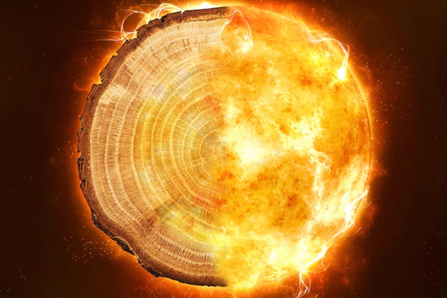 樹木年輪から過去1万年で6回の巨大太陽嵐の痕跡を発見！　スーパーフレアが原因ではなかった!?