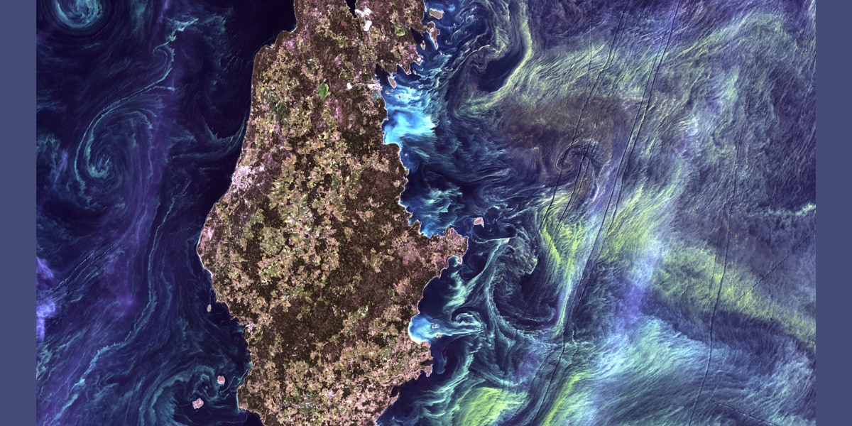 ゴッホの名画『星月夜』を想わせる「バルト海の衛星画像」をNASAが公開
