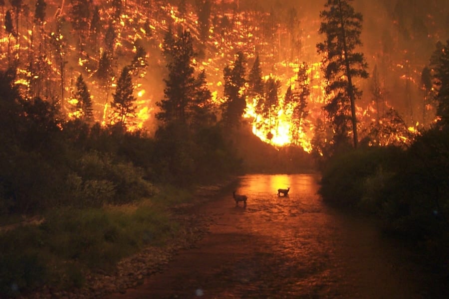 西海岸で発生した大規模な山火事が膨大な熱と煙の粒子を放出する