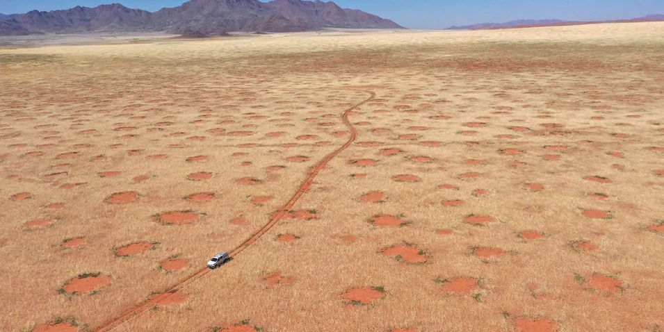 ナミブ砂漠のフェアリーサークル