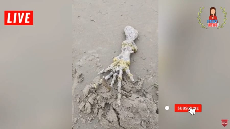 浜辺で見つかった手の骨（ニュース映像のスクリーンショット）