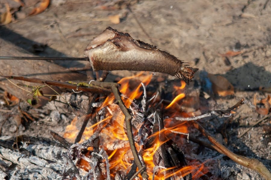 78万年前に焼き魚！ヒトが「火を使った料理」の最古の証拠を発見
