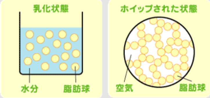 生クリーム（左）を泡立てるとホイップクリーム（右）になる。ホイップクリームでは脂肪球が網目構造になって気泡を保持する