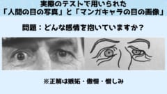 「人間の目の写真」と「マンガキャラの目の画像」のそれぞれの感情をあててもらった