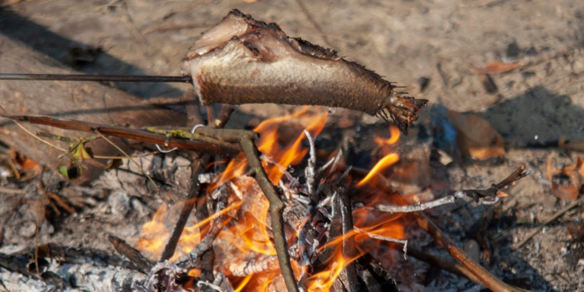 78万年前に焼き魚！ヒトが「火を使った料理」の最古の証拠を発見