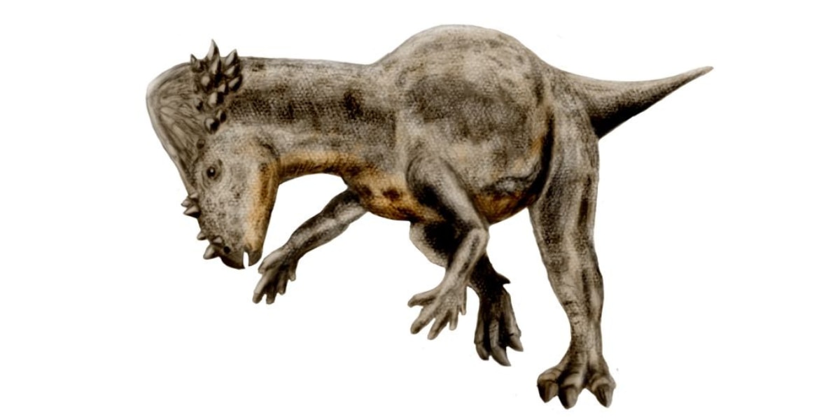 パキケファロサウルスは頭突きよりキックを多用した？