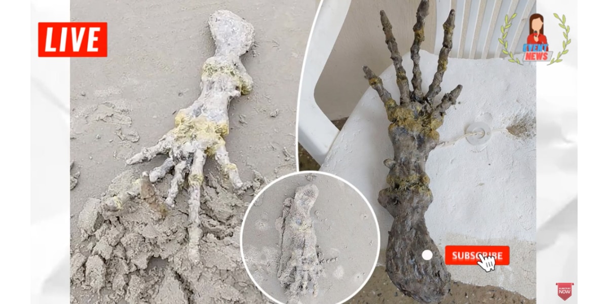 ブラジルで見つかった手の骨（ニュース映像のスクリーンショット）