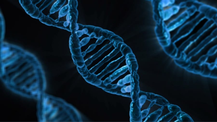人間には155個の「ゼロから作られた」遺伝子が含まれると判明！