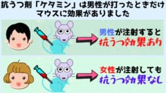 第4位：研究者の性別でマウス実験の「抗うつ剤」効果が変わると判明！