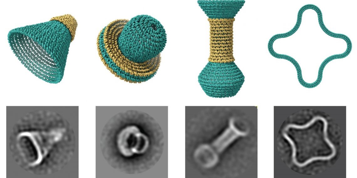 丸みをおびたナノサイズのオブジェクト。モデル（上）と電子顕微鏡画像（下）
