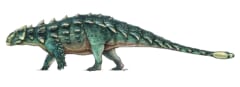 アンキロサウルス科「ズール」のイメージ