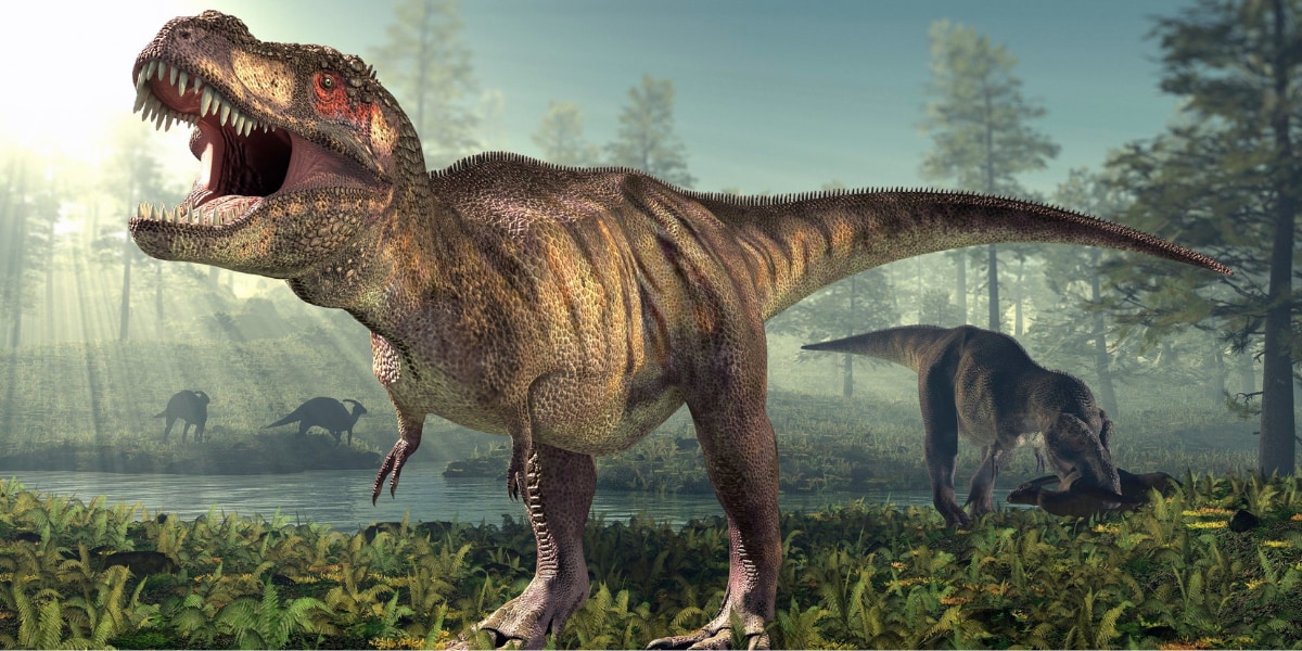 ティラノサウルスの知能はヒヒ並みだった？