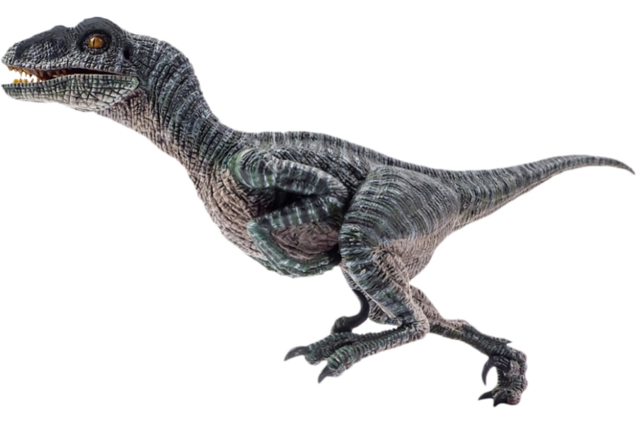 ドロマエオサウルスのシックルクロー (後脚のかぎ爪) ラプトルの爪 