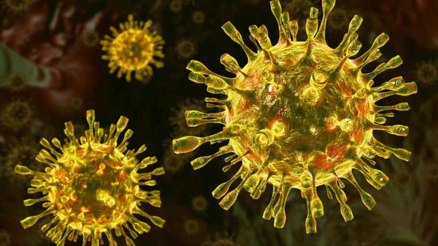 ウイルスは栄養素になる可能性を秘めている
