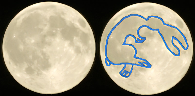 月の表面はウサギに見える