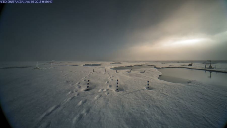 北極のウェブカメラ映像