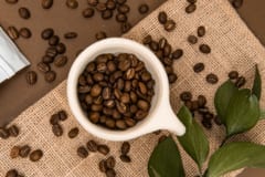 コーヒー豆にはポリフェノールが豊富
