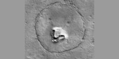 火星の表面にいる「クマ」