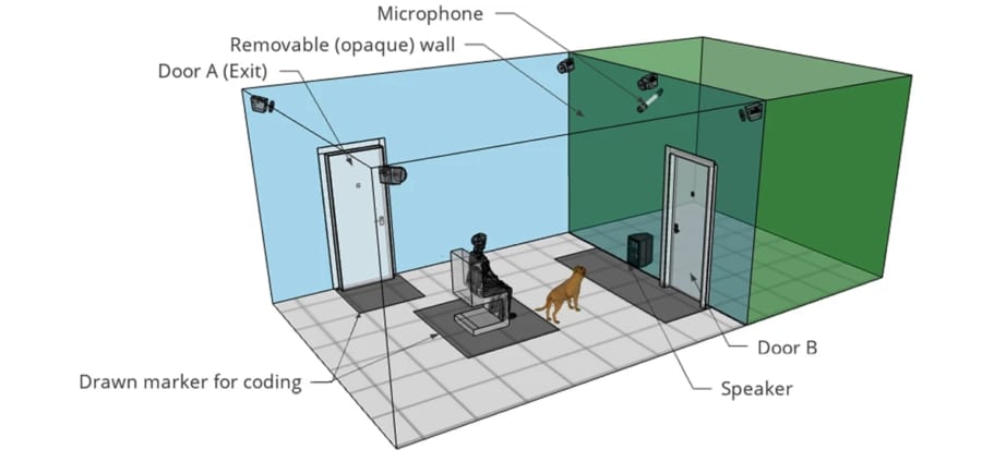 実験室のイメージ図