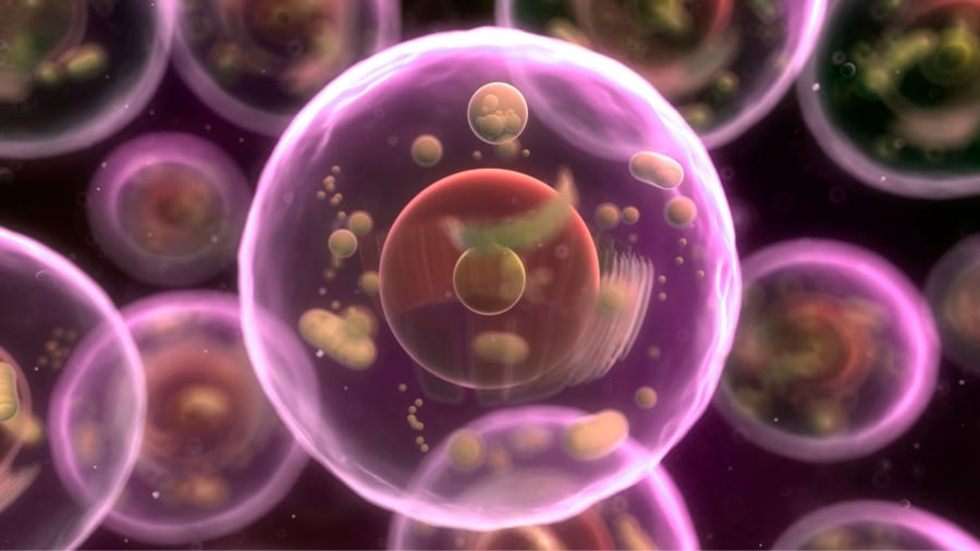プログラム可能な準生命体「サイボーグ細胞」の開発に成功！