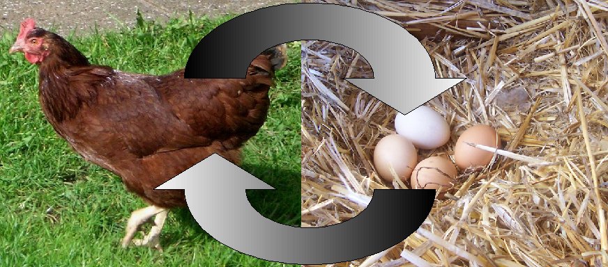 鶏卵はやはりニワトリからしか生まれ得ない
