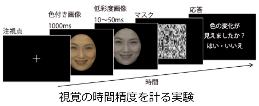 さまざまな表情の顔写真が「視覚の時間精度」に与える影響を実験