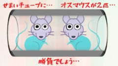 最強マウスを最弱マウスに強制敗北させる脳回路を発見！