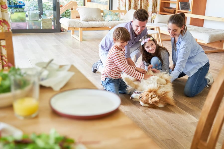 室内でペットを飼っている家庭の子供は「食物アレルギー」になりにくい可能性